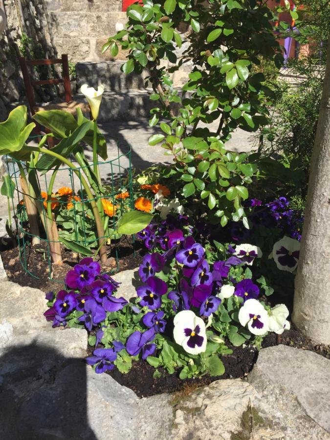 La Cle Des Songes Bed & Breakfast Claviers Exterior foto